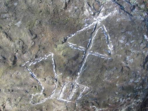 Где можно купить футболки в Хабаровске - Прикольные