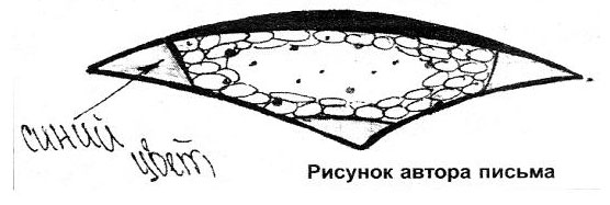 Трехзвездник в Минске