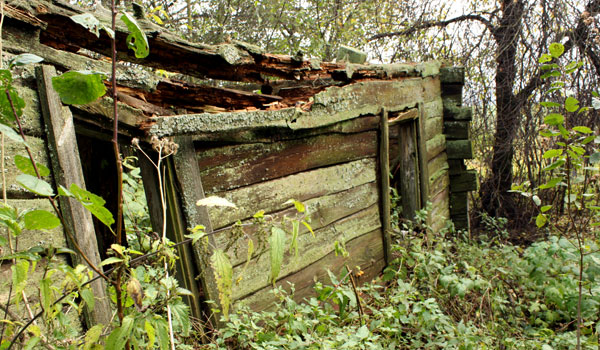Развалины домика ведуньи в дер. Крепачи (фото В. Гайдучика, 2009 г.)