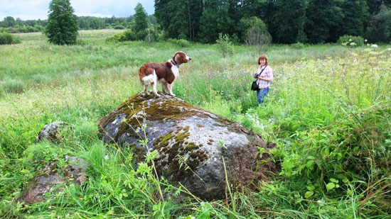 Фото 3. Камень на холме Чудовас. Фото автора.