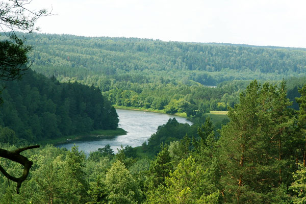 Река Вилия. Островецкий р-н, Гродненская обл. Фото автора.