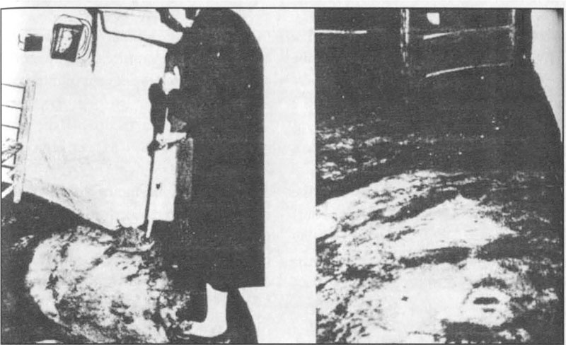 На фотографии из местной газеты были запечатлены тщетные Марии Гомес попытки стереть лица.