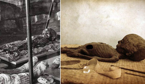 Снимки детских мумий для сравнения