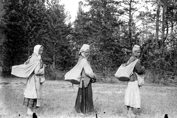 Женщины собирают грибы в д. Щитковичи (Стародорожский район, ранее – Бобруйский повет); из коллекции Исаака Сербова 1911–1912 гг. Женщины собирают грибы в д. Щитковичи (Стародорожский район, ранее – Бобруйский повет); из коллекции Исаака Сербова 1911–1912 гг.