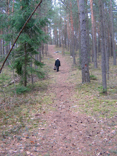 Янавская Гора (Борисовский район). Янавская Гора (Борисовский район).