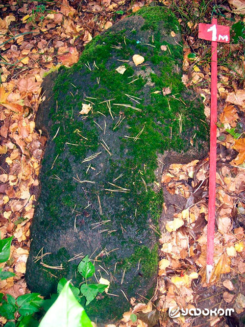 Рис. 5. Каменный крест размером чуть более 1 м на кладбище в д. Мокровичи. Фото А. Супиталева.