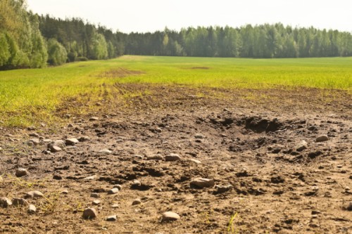 На полях можно было обнаружить различные скопления камней На полях можно было обнаружить различные скопления камней