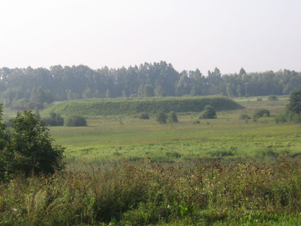 Замчище у д. Мстибово (Волковысский район).