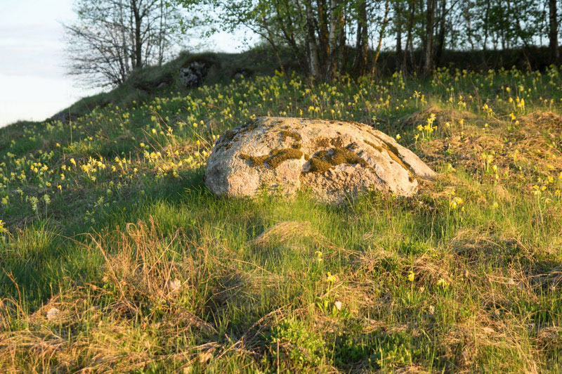 Камень у д. Лозовка. Фото А. Зайцева.