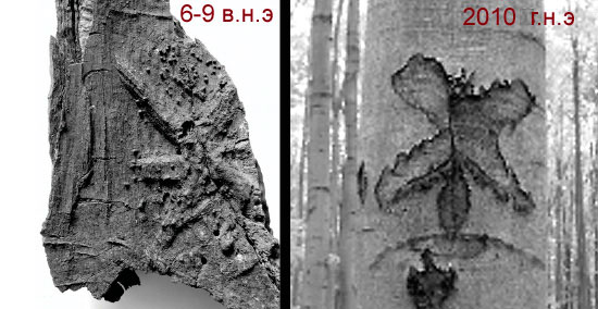 Вырезанный на коре шестиконечный крест, датированный 6–9 веком (слева) и 2010 годом (справа). Фото из журнала Antiquity.