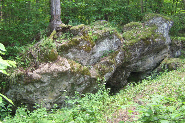 Змеев Камень (д. Гоголевка, Чашникский р-н, Витебская обл.). Фото автора. Змеев Камень (д. Гоголевка, Чашникский р-н, Витебская обл.). Фото автора.