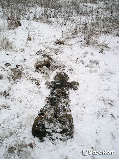 Рис. 2. Каложицкий каменный крест (фото автора, 2 марта 2008 года).