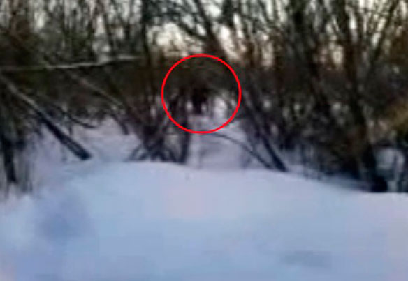 Кадр из видеозаписи, запечатлевший снежного человека на Кузбасе.