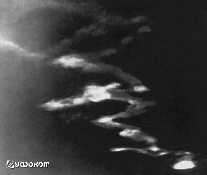 Распадающийся шлейф болида. Чукотка, 19 октября 1941 г. Фото Д. Дебабова.