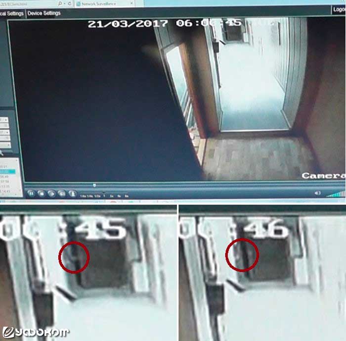 Рис. 2.2. Момент включения света и рука сторожа, нажимающая на выключатель (скриншот с камеры видеонаблюдения).