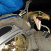 Космонавт Максим Сураев заметил на МКС динозавриков