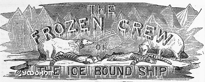 Заголовок викторианского романа «Замерзший экипаж обледеневшего судна» (1868).