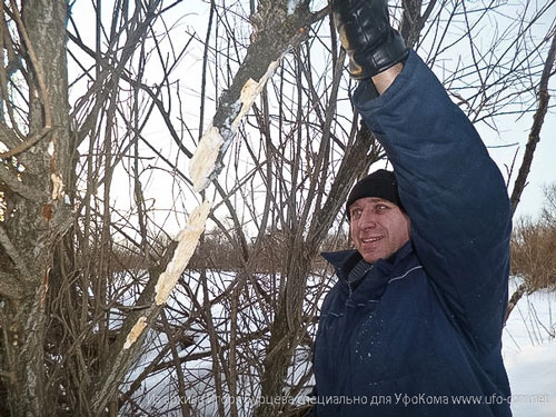 Е. А. Пашков рядом с обгрызенным деревом.