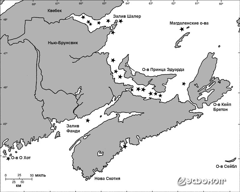 Контурная карта южной части атлантического побережья Канады. Места регулярного появления огненных кораблей отмечены звездочками.