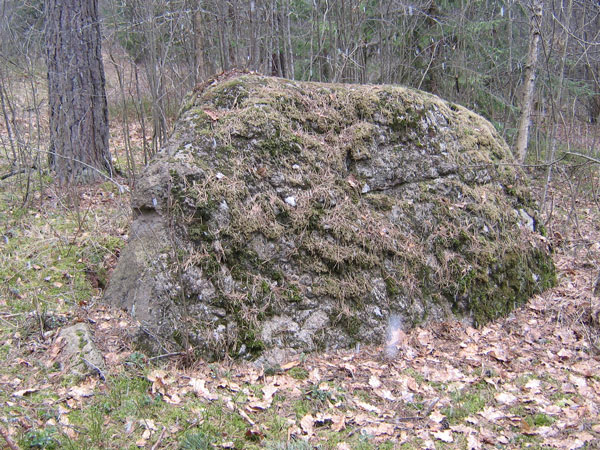 Здань-Камень неподалеку от д. Смоляры (Борисовский район).