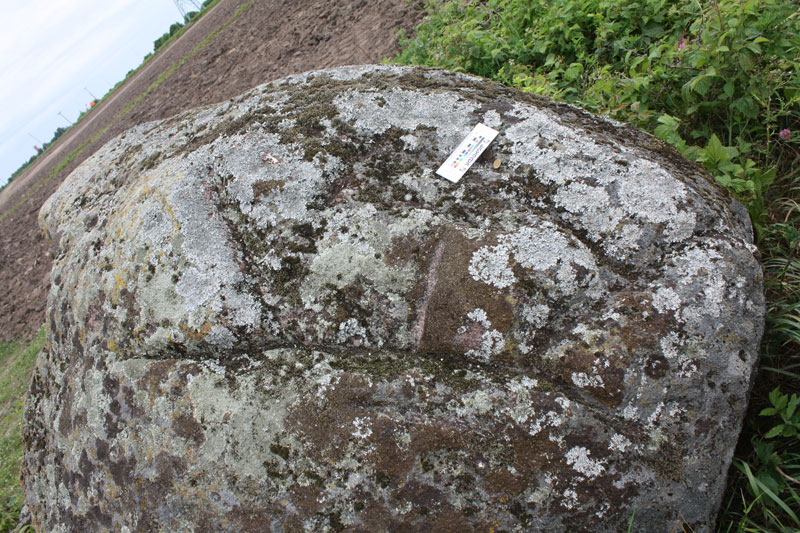 Рис. 5. «Фигура» на камне в г. Гробине. Фото автора, 2017 год.