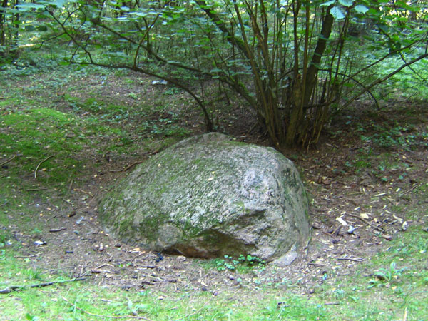 Камень Семигаюн (Оршанский район).