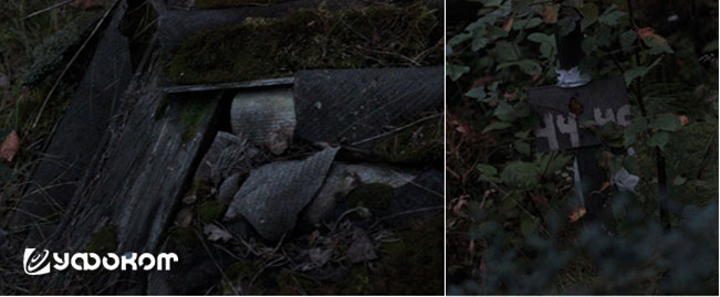 Рис. 1. Обнаруженные группой «Иркутск-Космопоиск» в 2009 г. остатки строений в лесу были изначально ошибочны приняты за развалины дачи. Позже было установлено, что это остатки свинарников.