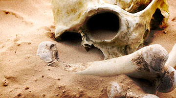 Захоронения вампиров в Польше: археологический сезон 2013