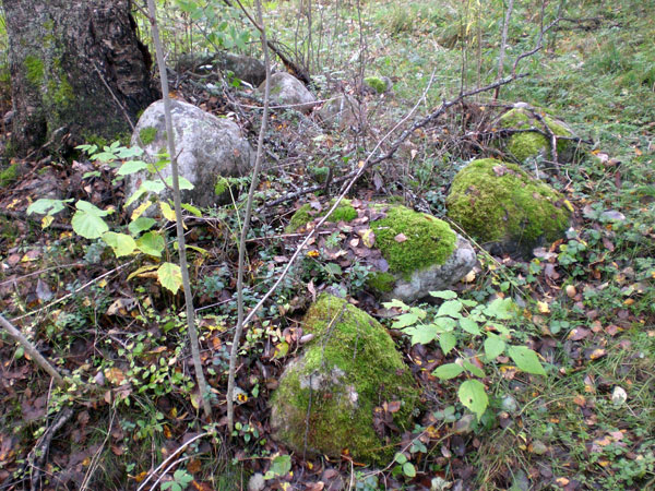 Рис. 21. Скопления камней (фото В. Акулов, 2012).