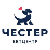 Прощание с питомцем: кремация в Санкт-Петербурге