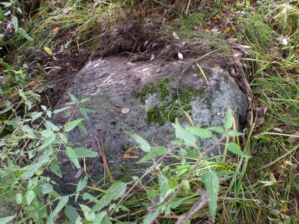 Рис. 26. Найденный нами камень у ручья (фото В. Акулов, 2012).