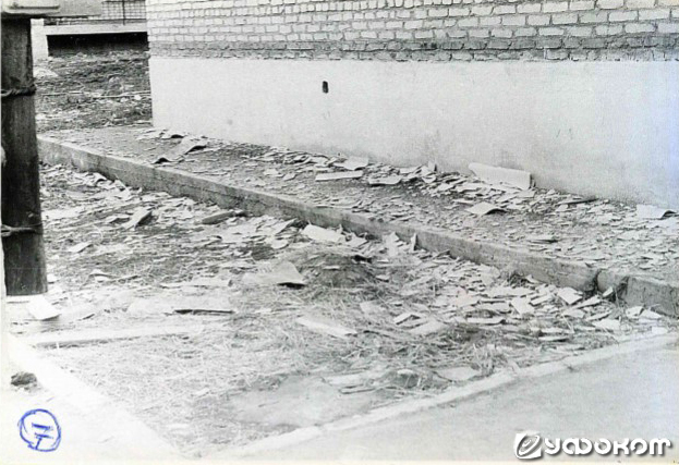 Фото 7. Обломки шифера с сарая рядом с подъездом двухэтажного дома. (Фото Фефелова В.Н.).