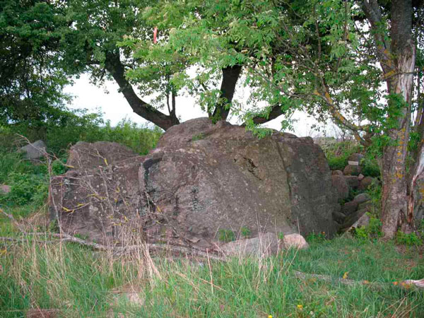 Гомсин камень (д. Куренец, Вилейский р-н, Минская обл.).