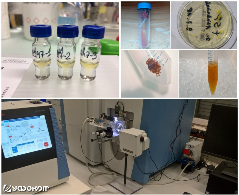 Рис. 3.1. Исследуемые образцы, подготовленные для анализа (верхние фото) и внешний вид жидкостного хроматографа и масс-спектрометра «Orbitrep» (нижнее фото).