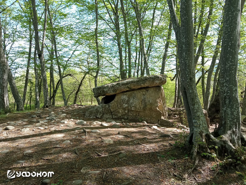 Рис. 2. Дольмен «Хаджох-1» (общий план, вид слева).