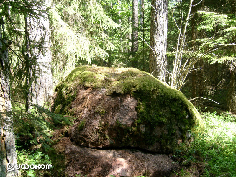 Фото 7. Чертовы Жорны (д. Осовы, Докшицкий р-н). Снимок Л. В. Дучиц, 2007 год.