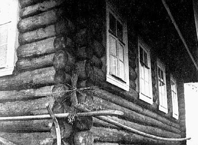 Дожиночный сноп на внешней стороне красного угла избы. Ленинградская обл., Лодейнопольский район, д. Шокшозеро (1927). По завершении жатвы несжатые колосья («бороду», «козу», «козульку», «косицу», «спорынью») в самом древнем и распространенном варианте на Дожиночный сноп на внешней стороне красного угла избы. Ленинградская обл., Лодейнопольский район, д. Шокшозеро (1927). По завершении жатвы несжатые колосья («бороду», «козу», «козульку», «косицу», «спорынью») в самом древнем и распространенном варианте на