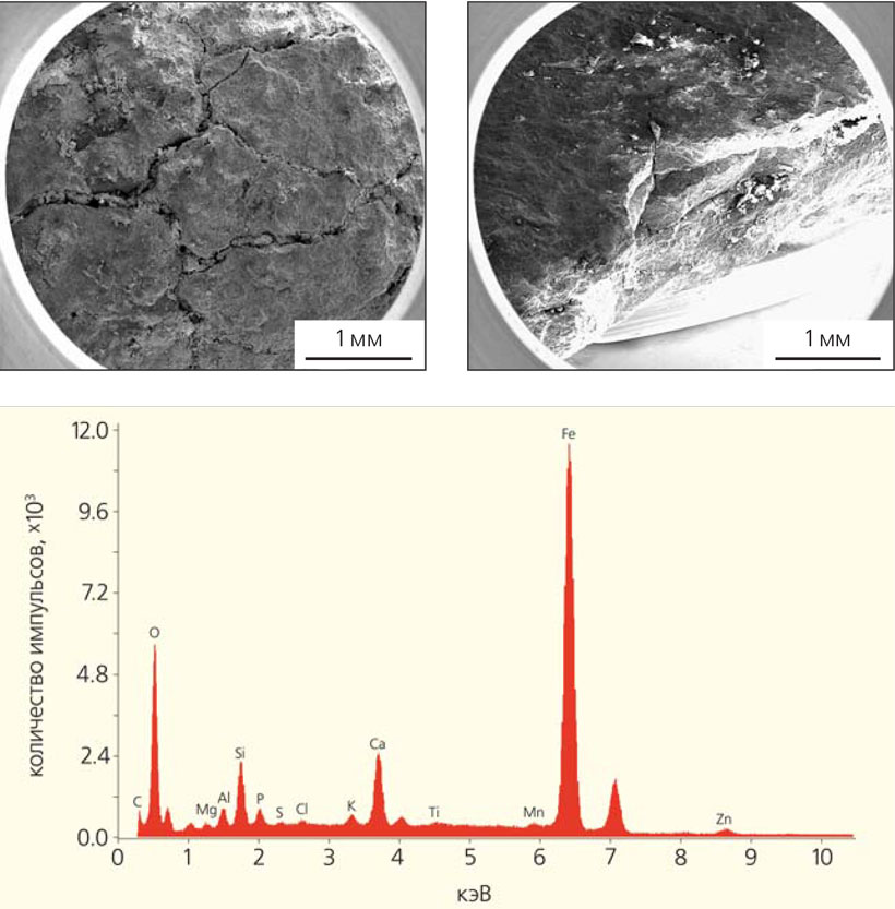 Рис. 2. РЭМ-снимки поверхности и слоистого торца образца (вверху) и спектрограмма характеристических излучений (k-линии) химических элементов.
