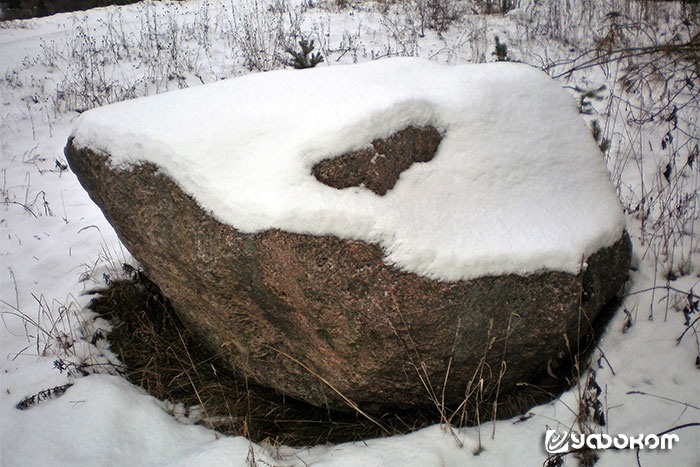 Рис. 1. Камень в ныне заброшенной деревне Зилайс Акменс. Фото автора, 2009 год.