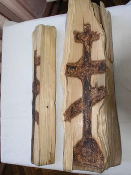 Рис. 6. Крест, найденный в стволе ели в Городецком районе.