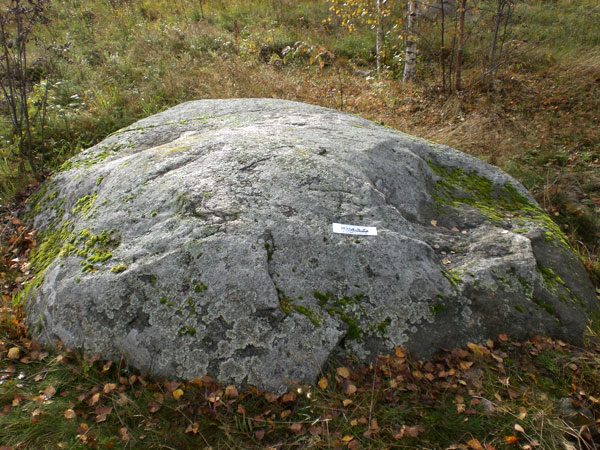 Рис. 12. Камень «с петроглифом» (вид с юга, фото В. Акулов, 2012).