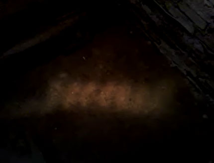 Скриншот видео. Некое пульсирующее светящееся пятно на полу. 