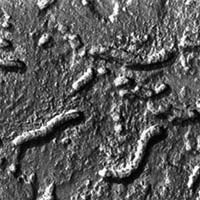 Кликни, чтобы узнать больше → Метеорит с марса: сенсация?