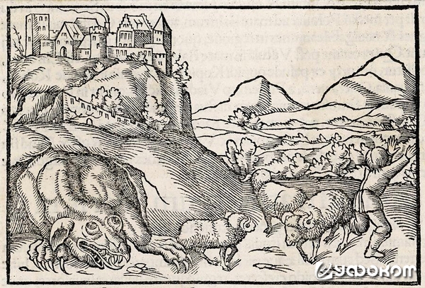 Рис. 2. Вавельский смок, гравюра из первого издания «Космографии» Себастьяна Мюнцера, Базель, 1500-е годы.