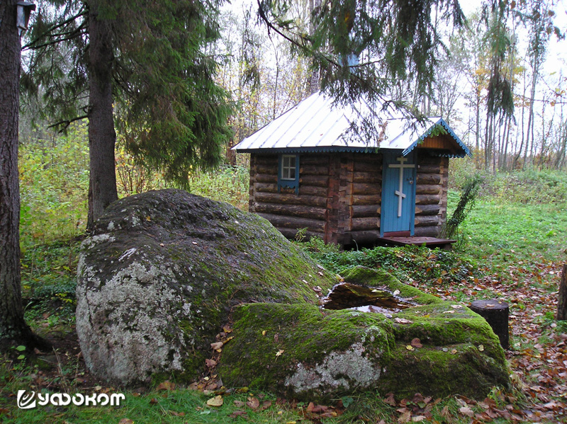 Фото 7. Камень Пятница у д. Должицы (Псковская область). Фото автора, 2011 год.