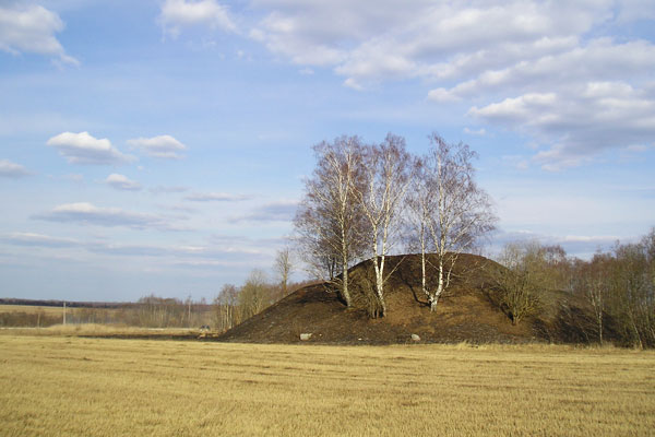 Сопка Шум-гора, крупнейший курган Восточной Европы, с которым связано много преданий (фото автора, 2009).