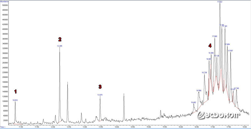 Рис. 6. Химическая идентификация веществ, присутствующих в образце (г. Брест, Беларусь, 2015 год): 1 – пальмитиновая кислота, 2 – стеариновая кислота, 3 – миристиновая кислота и 4 – производные фталевой кислоты.