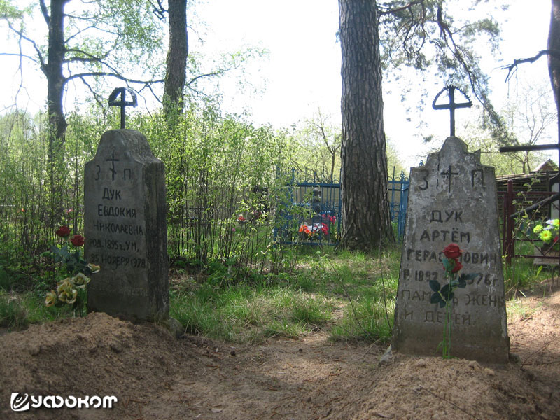 Памятники в д. Студенка Борисовского р-на. Фото Дмитрия Скворчевского.