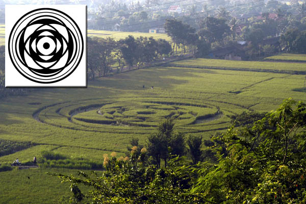 Пиктограмма, обнаруженная 23 января 2011 г. на о. Ява в Индонезии