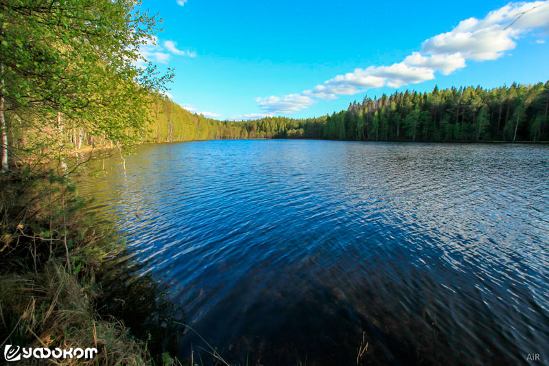 Озеро Ильгинья (Иргинья). Фото Евгения Шапошникова.